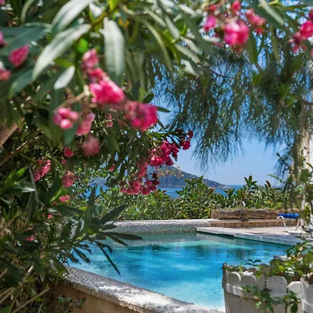 Likya Gardens Alojamento de Acomodação e Pequeno-almoço